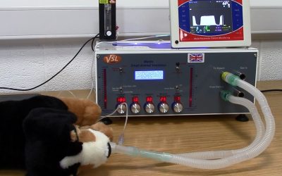 NEW!!!  Annequin for Anaesthesia Training